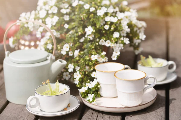 Linden Tea Porcelain Teapot Sunlight Summer Tea Party Flowers Garden — Stockfoto