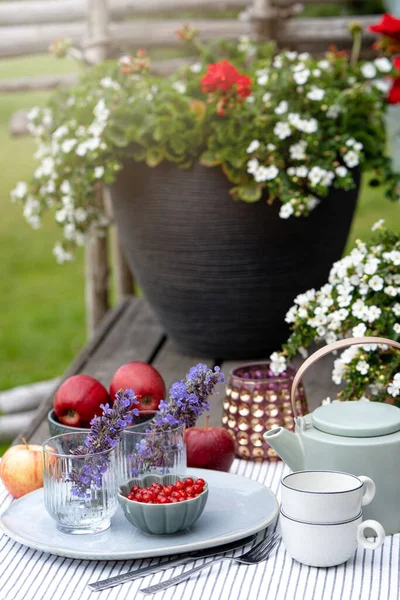 summer dinner outdoor, tea party in the garden with cups, porcelain teapot, apples, currants and flowers in pot