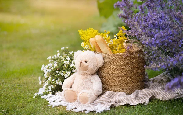 Picnic basket with baguettes and yellow flowers in garden on green grass, teddy bear and bush of purple flowers