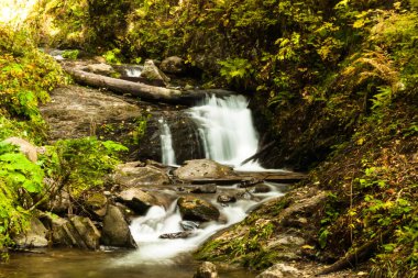 Rusya, Krasnodar Bölgesi. Soçi. Rosa Khutor Dağı Tatil Köyü. Mendechiha Şelaleleri Parkı. Şelale. Uzun bir deklanşör hızında ateş ediliyor..