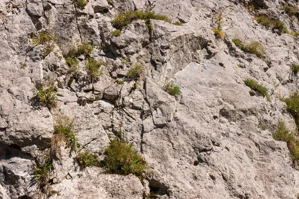 Rusya, Krasnodar Bölgesi. Soçi. Eski Krasnopolyansky otoyolunun kayalık bir bölümü. Taşlar ve donyağı kayaları.
