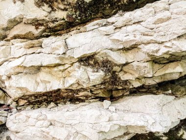 Rusya, Krasnodar Bölgesi. Soçi. Dağlarda bitki örtüsü olan kayalar..