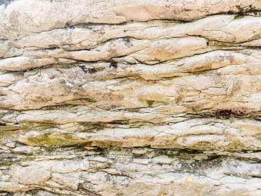 Rusya, Krasnodar Bölgesi. Soçi. Dağlarda bitki örtüsü olan kayalar..