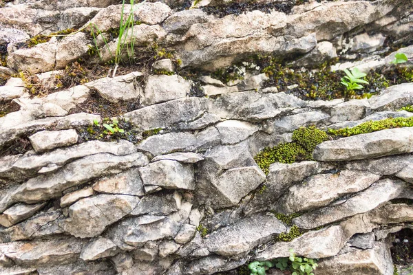 Rusko Krasnodarské Území Soči Skály Skály Vegetací Horách — Stock fotografie