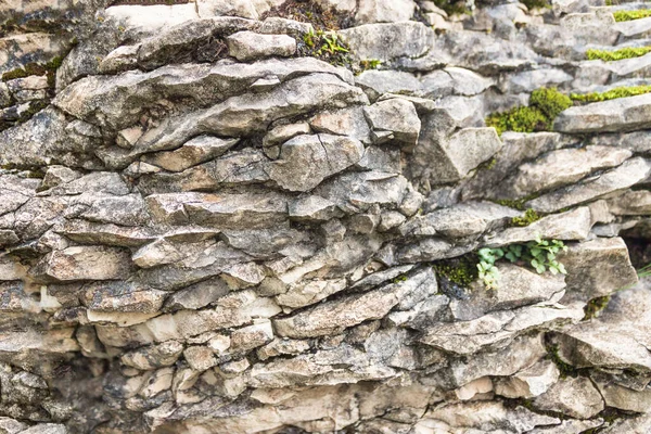 Rusia Territorio Krasnodar Sochi Rocas Rocas Con Vegetación Las Montañas — Foto de Stock