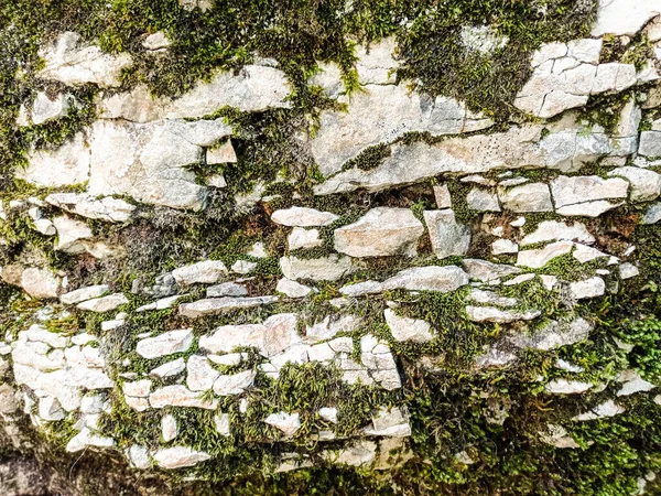 Rússia Território Krasnodar Sochi Pedras Rochas Com Vegetação Nas Montanhas — Fotografia de Stock