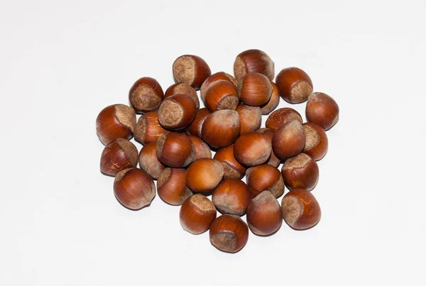 Nuts Beer Snack Hazelnuts Shell White Background — Fotografia de Stock