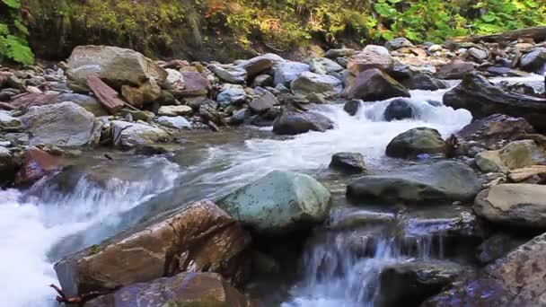 渓流の滝 自然公園 山の中の滝 マウンテンリゾート — ストック動画