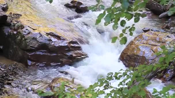 Wodospad Górskim Potoku Naturalny Park Narodowy Wodospad Górach Górski Kurort — Wideo stockowe