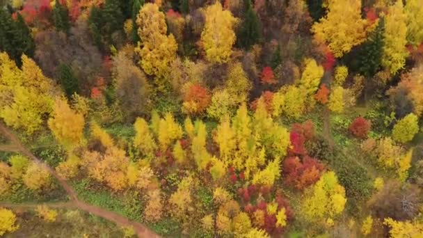 Multicolors Parque Cidade Outono Tempo Nublado Vista Aérea Drone — Vídeo de Stock