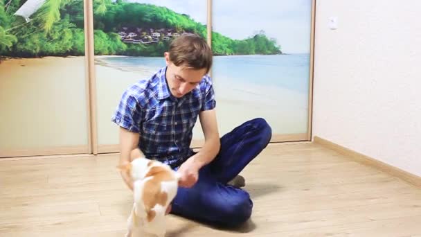 Young Man Sits Plays Dog Chihuahua Dog Boy Cheerful Cute — Stock Video