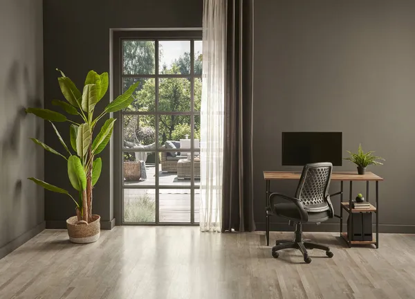 Grey Living Room Office Monitor Chair Vase Green Plant Front — Stock Photo, Image