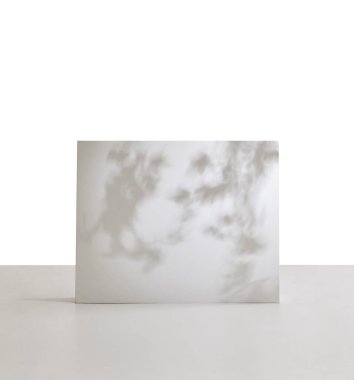 Koltuk ya da ürün için beyaz arka plan ve zemin boş stil, bitki gölgesi.