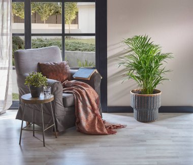 Koltuk yastığı ve battaniye tarzıyla modern ev dekorasyonu, bahçe manzarası, bitki vazosu, iç dekorasyon.