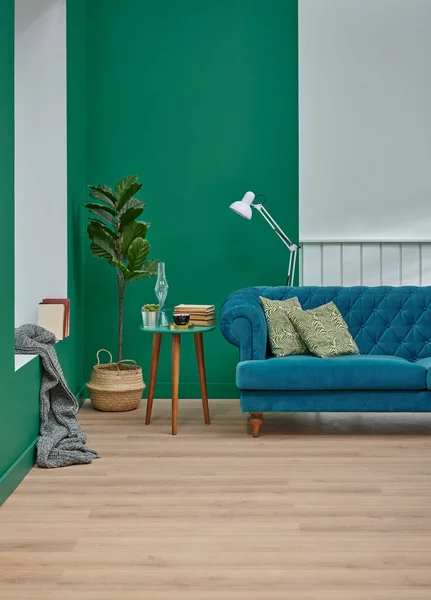 Niebieska Sofa Poduszka Koc Dekoracji Zielono Białe Pojęcie Lampa Roślin — Zdjęcie stockowe
