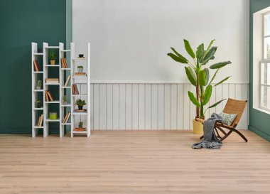 Beyaz ve yeşil duvar arkaplan odası, kitaplık, bitki ve halı parke dekorasyonu vazosu, iç mimari tarzı..