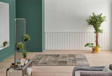 Modern ev duvarı ve oda tarzı, yeşil ve beyaz arka plan, bitki vazosu, halı tarzı.