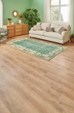 Green living room and wall background concept, wooden furniture, table, chair vase of plant and brown parquet style.