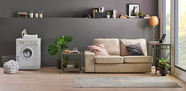 Grey wall room interior concept, sofa, vase of plant, washing machine, dry machine, carpet and laundry style.