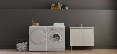 Banyo, çamaşır, çamaşır ve kurutma makinesi, lavabo dolabı, ayna ve nesne, gri duvar arkaplanı.
