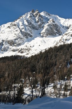 Mont Blanc görüldü Val Ferret Courmayeur, Aosta Vadisi, İtalya