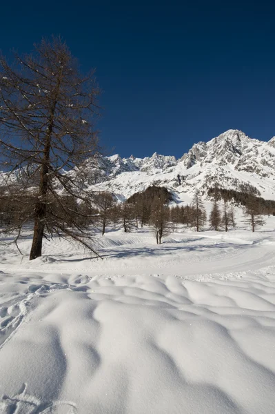 Val Ferret Courmayeur, Valle de Aosta, Italia Imágenes de stock libres de derechos