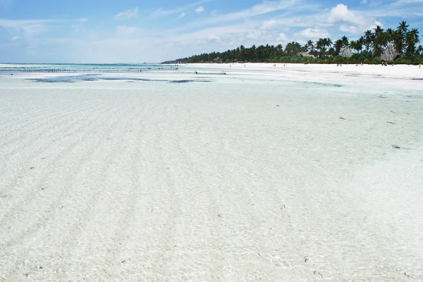 Zanzibar beach — Stock Fotó