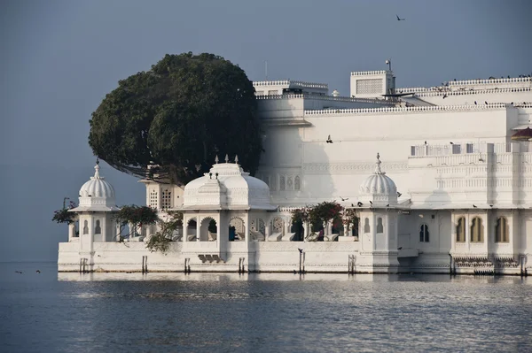 Jezero palace v udaipur, Indie — Stock fotografie