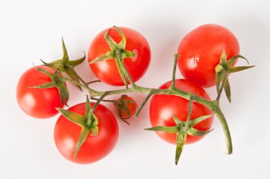 Beyaz arka planda olgun domatesler