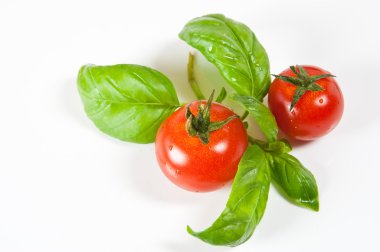 domates ve fesleğen izole beyaz zemin üzerine