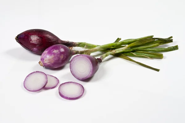 Red Tropea onion and sliced on a white background — Stock Photo, Image