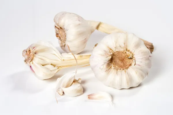 白色背景的大蒜和丁香 — 图库照片