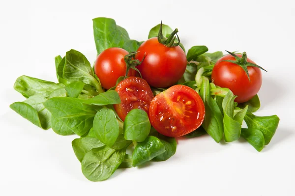 Tomatoes and green salad on white background. — Stock Photo, Image