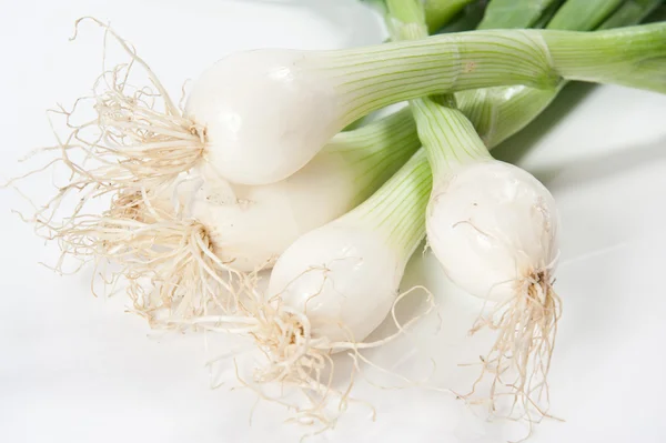 Spring onion — Stock Photo, Image