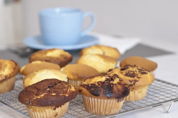 Po prostu pieczone muffiny są gotowe na śniadanie — Zdjęcie stockowe