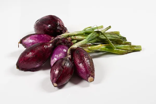 Red Tropea onion — Stock Photo, Image