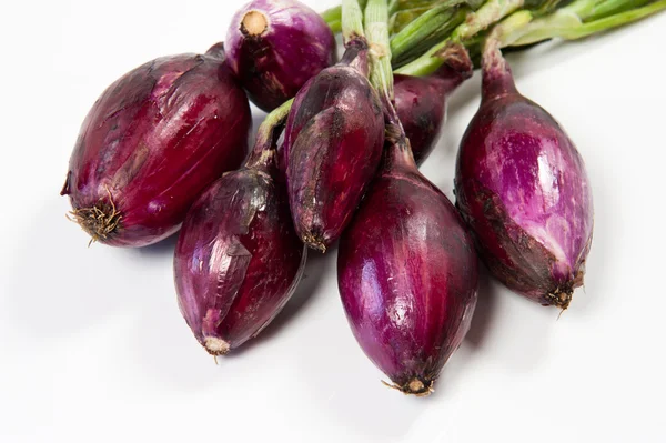 Red Tropea onion — Stock Photo, Image