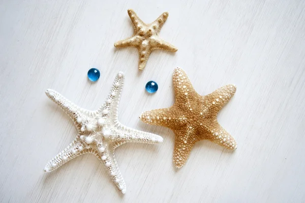 Starfish on a white wooden table — Stock Photo, Image