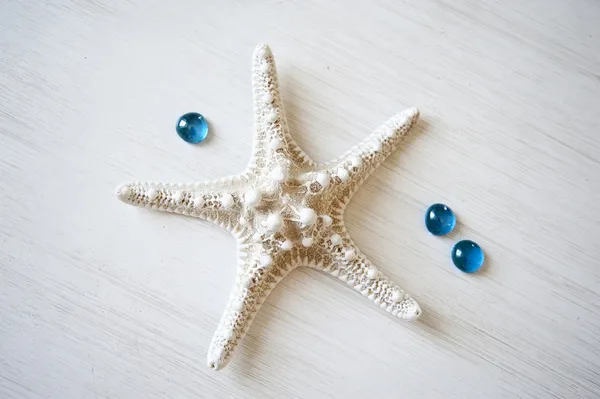 Étoile de mer blanche sur un fond en bois blanc avec des gouttes turquoise — Photo