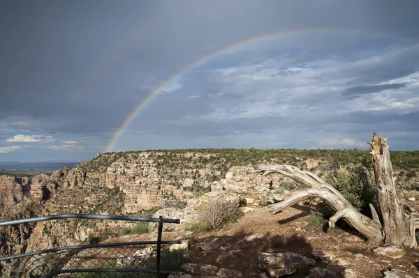 Grand Canyon — Stock Photo, Image