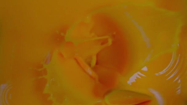 Orange Slices Fall Own Juice — Stock Video