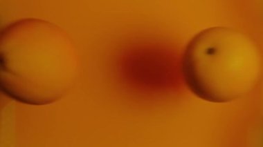 Portakal dilimleri kendi sularına karışıyor.