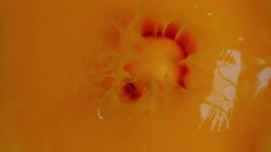 Portakal dilimleri kendi sularına karışıyor.