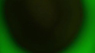  Kivi meyve suyuna düşer. Yavaş çekim 240 fps. Yeşil meyve suyu. Taze meyve.