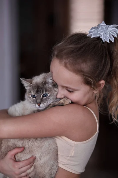 Kind met een huiskat in handen — Stockfoto