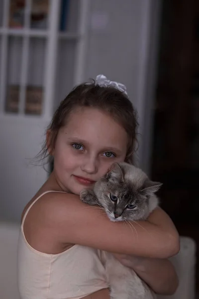 Pequeno branco menina retrato com um siamês gato — Fotografia de Stock