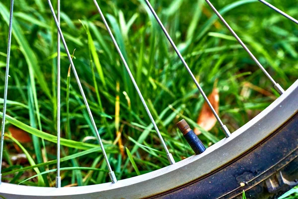 Bicycle wheel with nipple valve close up on the grass background — Stock Photo, Image