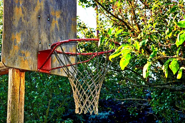 Basquetebol backboard com aro entre árvores verdes no quintal — Fotografia de Stock