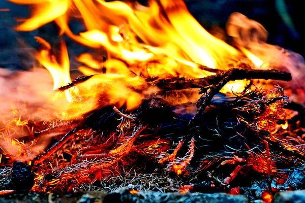 Bonfire and heat - burning flame. Fire background