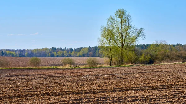 Spring arable land, plowed field prepared for planting cereals and vegetables — Stock Photo, Image